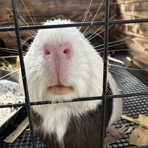 ネオパークオキナワ
