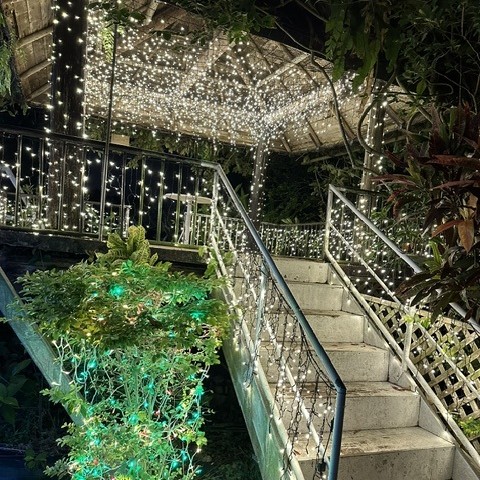 美らヤシパークオキナワ