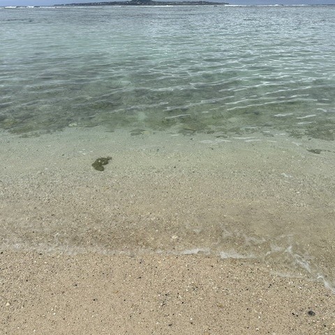 砂浜